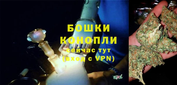 скорость Каменка
