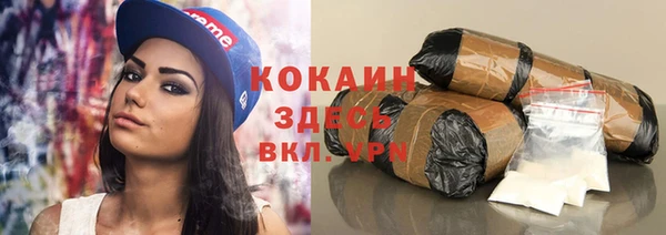 скорость Каменка