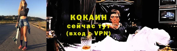 скорость Каменка