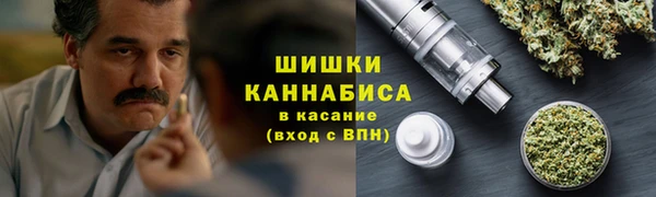 скорость Каменка