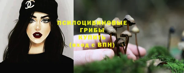 spice Карталы