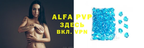 тгк Каменногорск