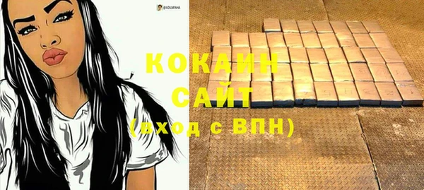 тгк Каменногорск