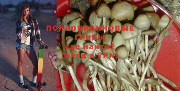 a pvp Касимов