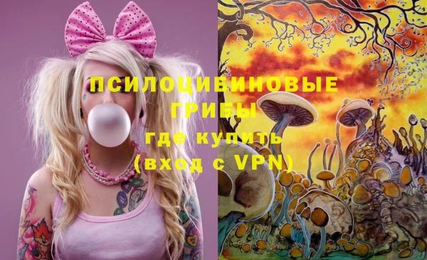 a pvp Касимов