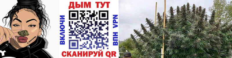 Каннабис Ganja  Купить закладки  Печора 